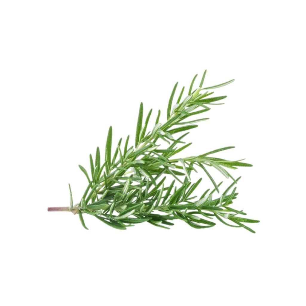 rosemary